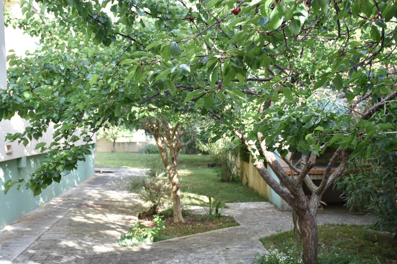 Apartments Antonija Punta Skala Next To Falkensteiner Resort เพทรอซาเน ภายนอก รูปภาพ